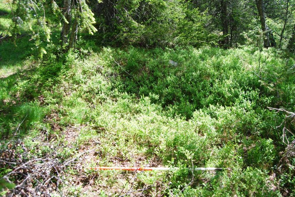 F1: Från slagghög S8. Stor mängd fragment med en storlek upp till 10cm. Troligtvis yngre typ. F2: Funnet löst liggande på marken i järnutvinningsområdet som inkluderade S9 och S10.