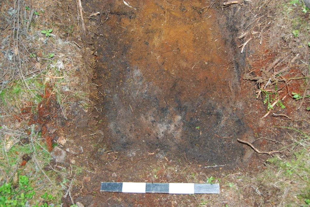 S7, provstick i plan. Sett mot öst. Fotograf: Jakob Johansson Det blev under utgrävningen samlat in prover av slagg och kol. Dessa proverna från undersökningen är katalogiserade under C57335. 5.