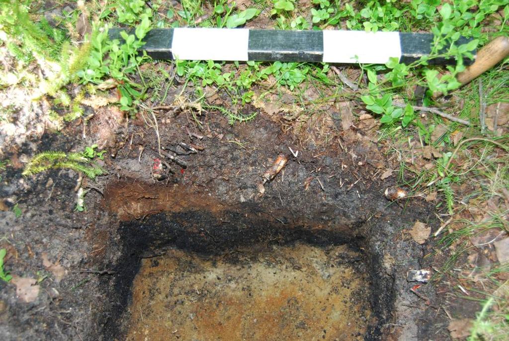26.06.09 Hela denna dagen gick åt till att gräva ut S1 och den intill liggande förhöjningen vi valde att kalla S1B. Området vid dem tecknades i plan och överflateprofil.