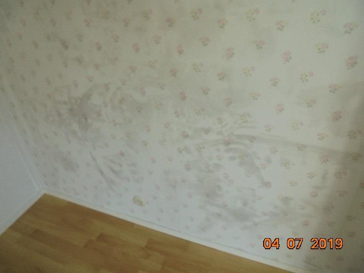 Bild 11.