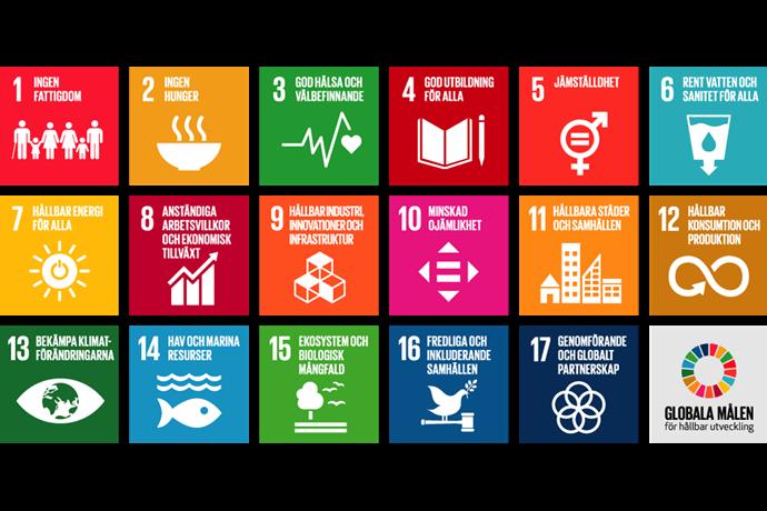 Globala målen Globala målen De globala målen från Agenda 2030. Illustration som visar vilka ekosystemtjänster som bidrar till att uppnå vilka av de Globala målen.