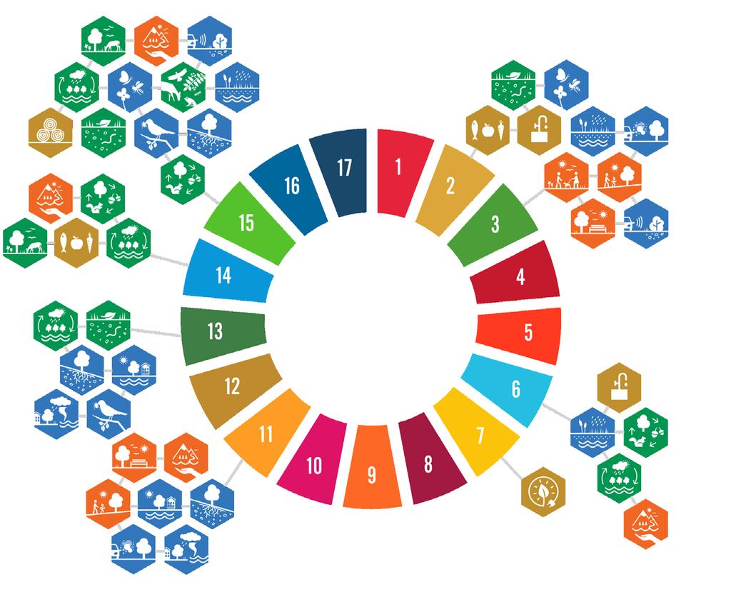 Om ekosystemtjänster Sedan 2015 har världens ledare enats om flera globala agendor för hållbar utveckling, som klimatavtalet i Paris, Agenda 2030 och The New Urban Agenda.