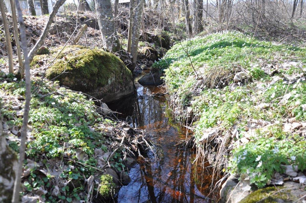 Om Skog & Lantbruk Skog & Lantbruk är ett rådgivningsföretag som arbetar med följande tjänster inom jord och skog: -