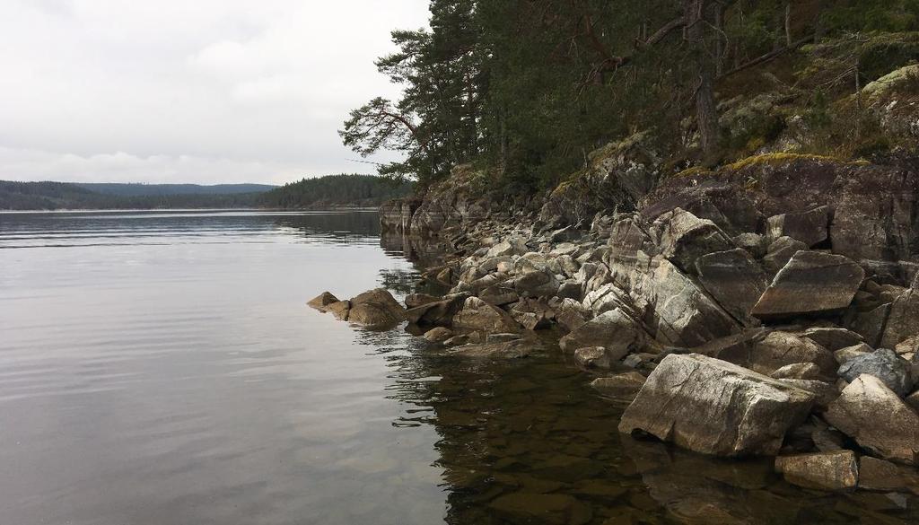 Provfisket görs som en inventering med syfte att följa beståndsutvecklingen.