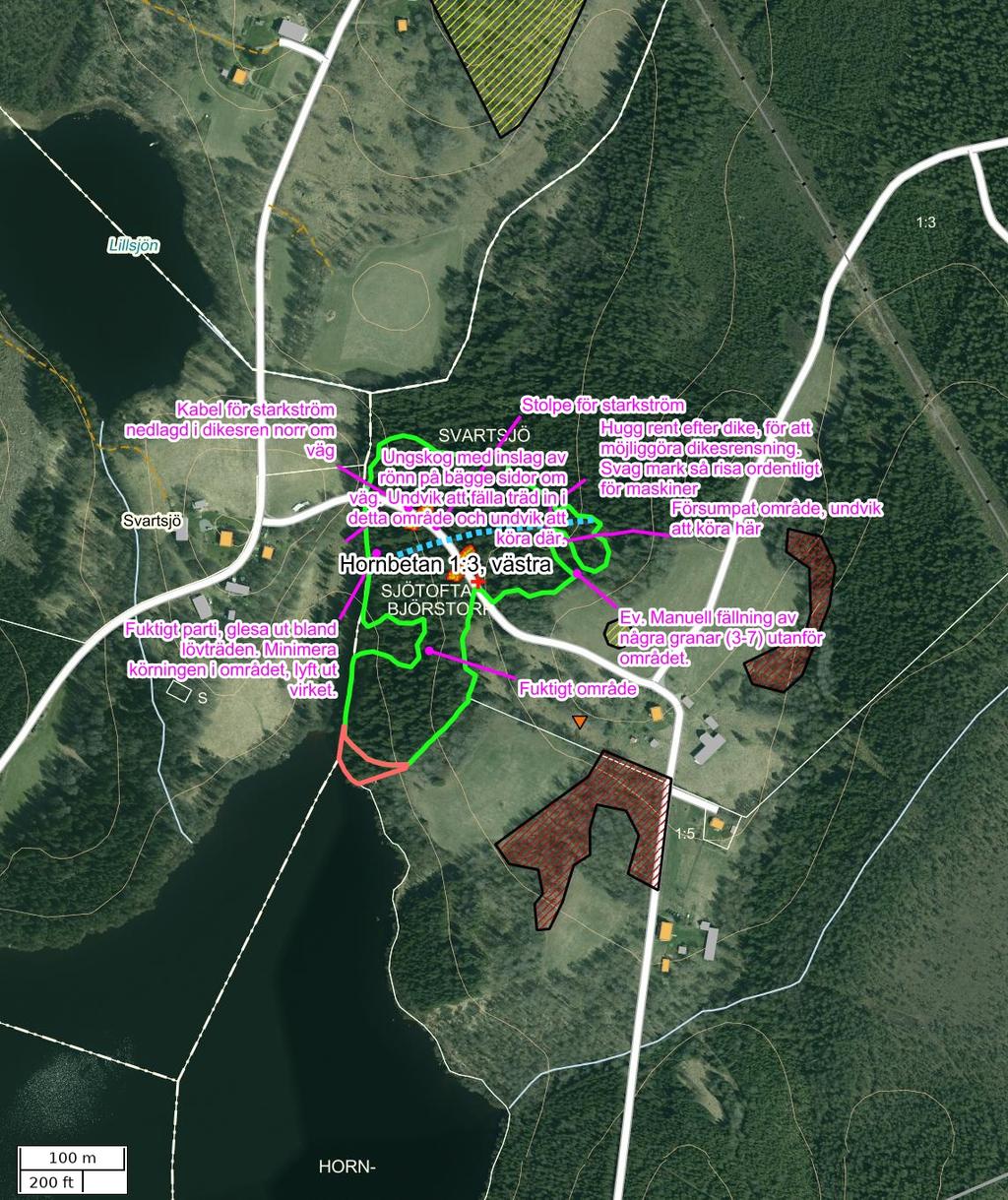 Traktdirektiv 18-05-21 : Hornbetan 1:3, västra Hushållningssällskapet Skog Detaljkarta Skala: ~1:5000