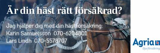 RONJA N.N. 2160:1, M Total: 7 001 16.00 H 9 4,br.s.e nygg 19: 2 000 9,8 1.000 18: 001, 1.