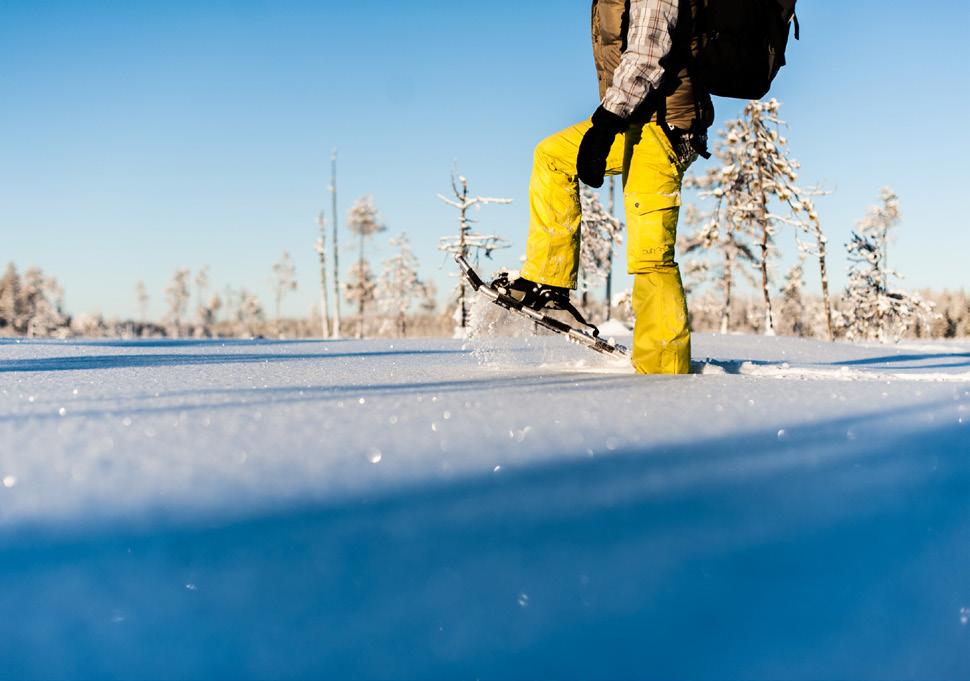 Att se på soluppgången eller solnedgången, besöka nationalparker eller naturparker och bara vara i naturen (t.ex.