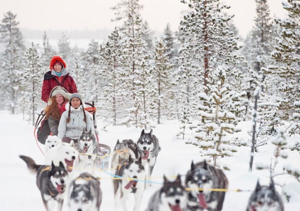 Av vinteraktiviteter skulle man helst vilja titta på norrsken, åka hundspann och safari & vildskådning. Även önskade utomhusupplevelser vid en potentiell resa skiljer sig något mellan marknader. T.ex.