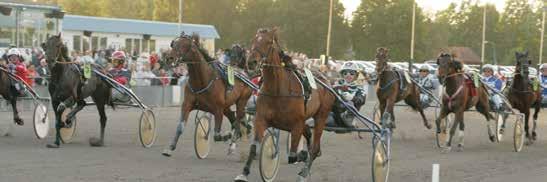 MANTORP // 9 0 M AUTOTART TART. DD- V- V- VINNARE PLAT Fonus lopp - Diamantstoet, Försök 7 - pårtrappa (Final olvalla maj 09) -7-åriga svenska ston 0.00-9.000 kr. Körsvenskrav kat.. 0 m. Autostart.