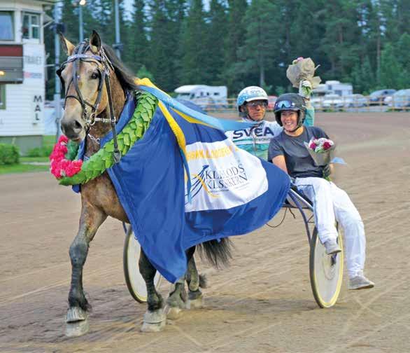 JÄMTLANDS STORA PRIS KALLBLODENS DERBYBANA TISDAG 15/8 FÖRSTA START KL. 18.25 www.