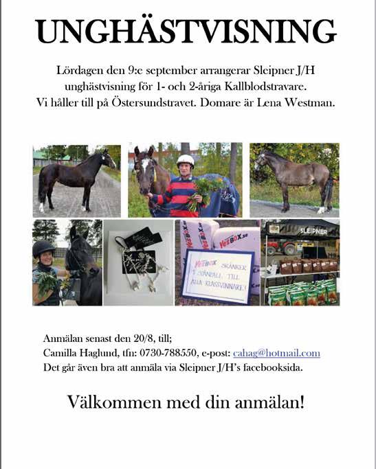 SÄKERHET PÅ STALLBACKEN Endast behöriga får vistas på stallbacken. Bilar parkeras på avsedd plats. Barnvagnar undanbedes.