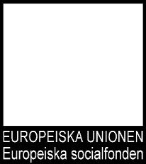 Resultatmål Delprojekt Attraktion Målgruppsanpassad normkritisk idébank med exempel på attraktionsaktiviteter till utbildning och arbete i Vård- och omsorg