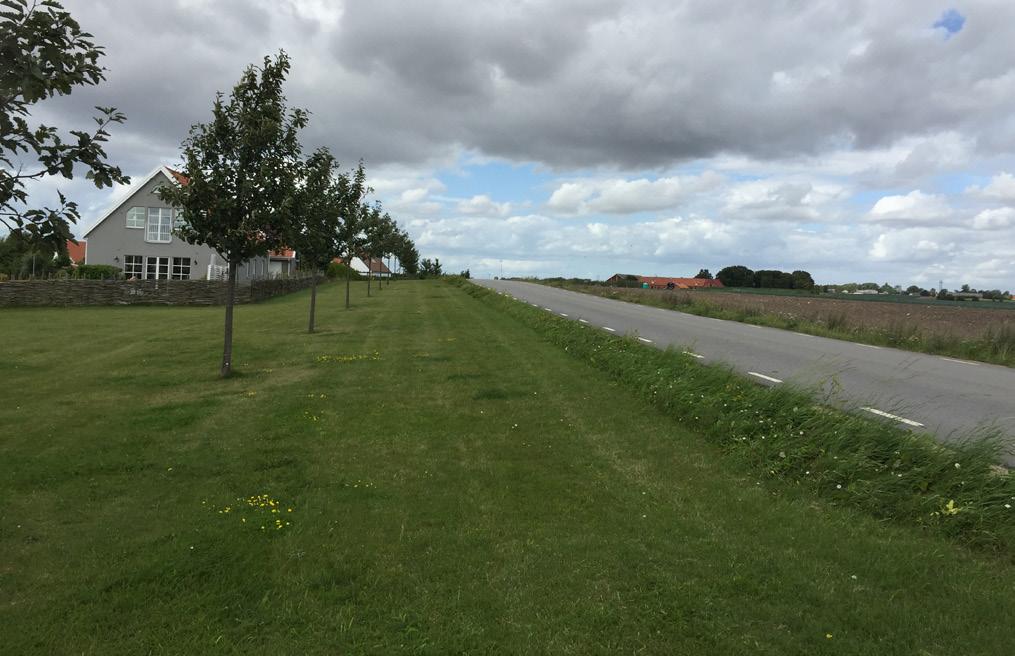 FÖRUTSÄTTNINGAR GATOR OCH TRAFIK Planområdet utgörs av Västra Värlingevägen (väg 628) som sträcker sig från Västra Värlinge i norr till korsningen med väg 635 i söder.
