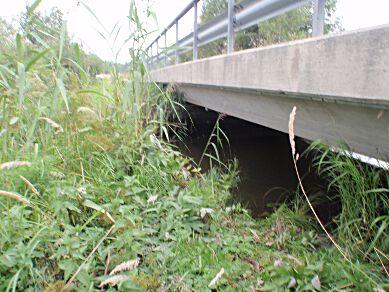 D7. Tandlaån, Tandla SE657385-153698 (vattenförekomst) Län: 4 Södermanland Beskuggning: saknas Kommun: Eskilstuna Vattennivå: låg Koordinater: 6572002/580915 (SWEREF99 TM) Vattenhastighet: lugnt