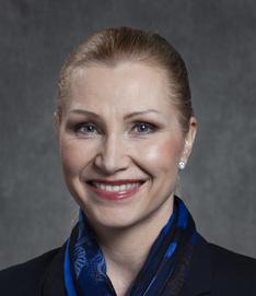 direktör, Digital Retail 2015-2016 Aurinkomatkat Oy, kommersiell direktör 2014-2015 försäljnings- och marknadsföringsdirektör, 2011 2014 Finnair, direktör, Digital Marketing 2010-2011 direktör,