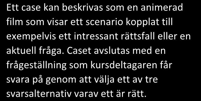 Ett case kan beskrivas som en animerad film som visar ett scenario kopplat till exempelvis ett intressant rättsfall eller en aktuell fråga.
