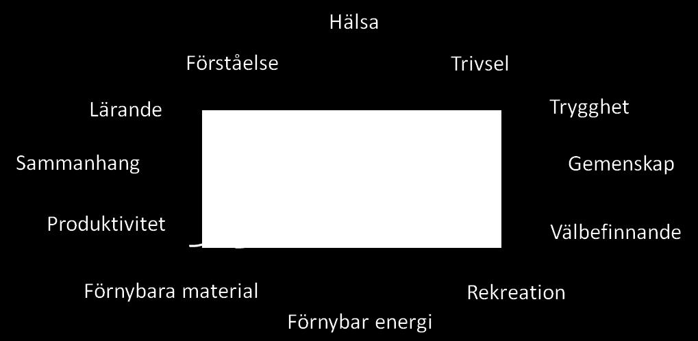 Vetenskaplig kultur