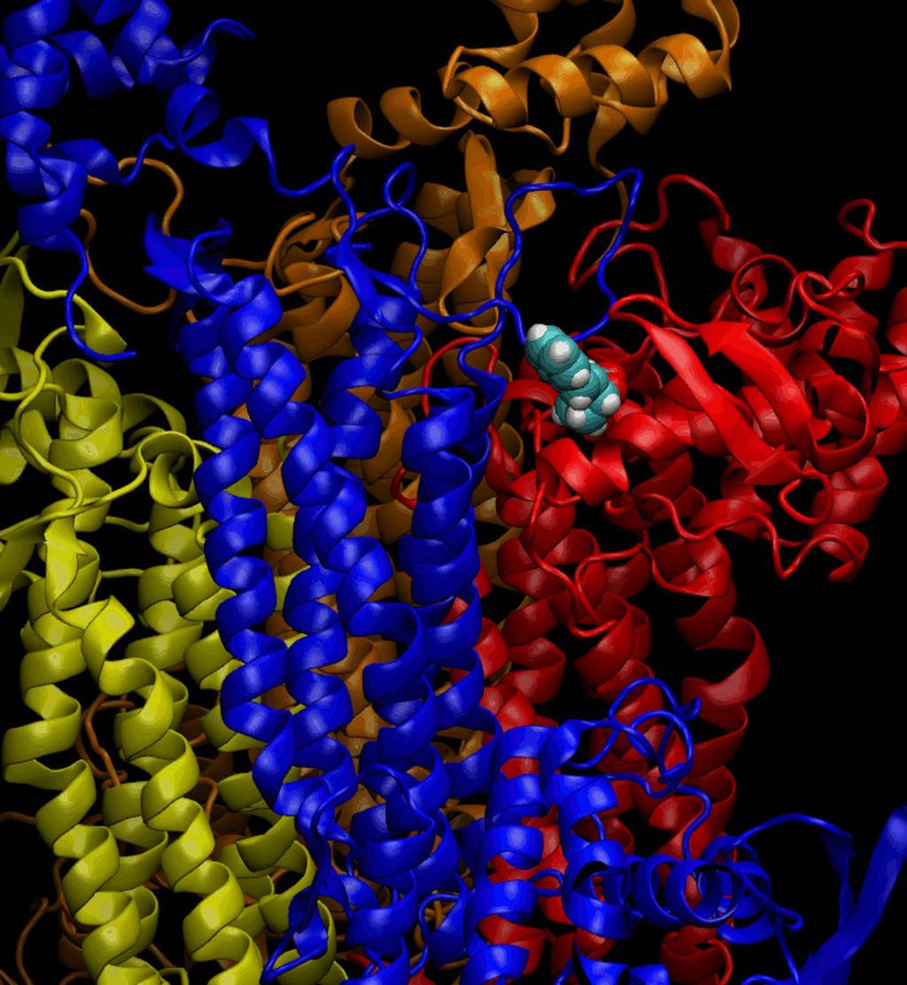 Figura 29S. Estrutura da fumarato hidrogenase de Meloidogyne hapla (ita2-1yfm) representada na forma de Newcartoon pelo programa computacional VMD 1.9.1. A cada cadeia foi conferida uma cor diferente.