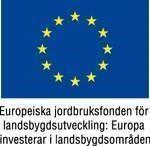 Årsredovisning 2017 Resultaträkning Balansräkning Föreningen Leaderprojekt Hela föreningen Totalt Medlemsavgifter 5 900 5 900 Bank 266 867, a-e 65 000 383 986 448 986 Summa intäkter 70 900 383 986