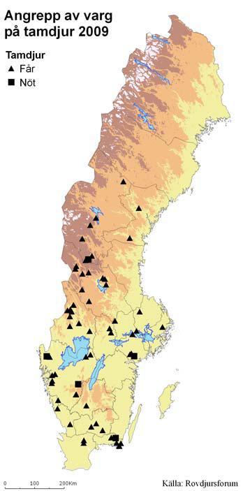 Tabell på sidan 14 från Viltskadestatistik 2009 (Rovdjursforum) Angrepp orsakade av varg 2009 http://www.viltskadecenter.com/images/stories/publikationer/viltskadestatistik_2009.pdf Levin, M.