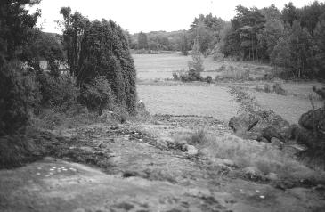 The arrow is very detailed and the point of Neolithic/ Bronze Age-type, is clearly visible.