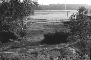 Raä 65:1 är belägen i Rished, här med utsikt mot Långelands ägor. Den första ristningen i detta område omnämns redan i början av 1600-talet.