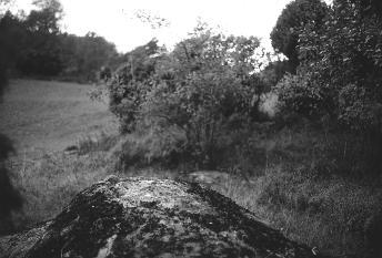 View over the south part of the central plain. The new church of Askum parish can be seen in the middle right part of the photograph.