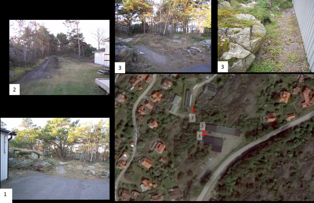 FÖRUTSÄTTNINGAR, FÖRÄNDRINGAR OCH KONSEKVENSER Natur Mark och vegetation Naturområdet inom planområdet har till största delen en vegetation av tall samt lågväxta buskar.