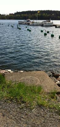 bekämpning av ogräs i dagsläget endast sker med hjälp av hetvatten och/eller mekanisk bekämpning.