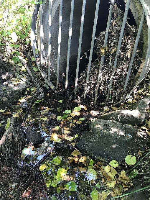 grenar, blad etc. Detta för att inte förbipasserande skulle hitta utrustningen, ta den, eller rubba den ur sitt läge och därmed förstöra provtagningen.
