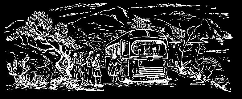 Pris: 180:- 978-91-87695-59-9 978-91-88605-22-1 SJ:s busstrafik i Stockholms län Arne Hällqvist Efter första världskrigets slut 1918 skedde en omfattande utveckling av vägtrafiken med person-