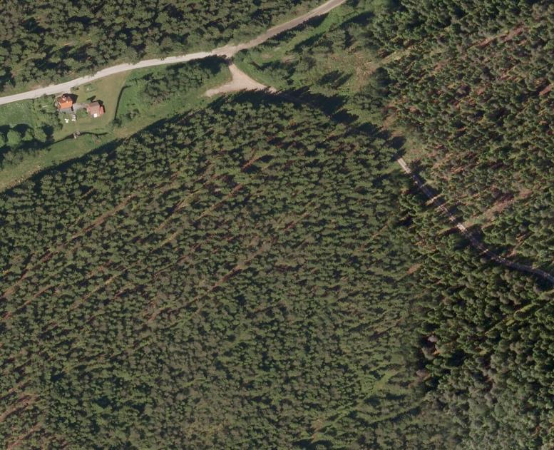 3.3.2 Töllesjöbäcken huvudfåran utloppsledning från Sobacken. (kartbilaga 1b och 1c). Figur 5. Orthofotot visar plats för eventuella omledningar av Töllesjöbäcken. Numreringen förklaras i text nedan.