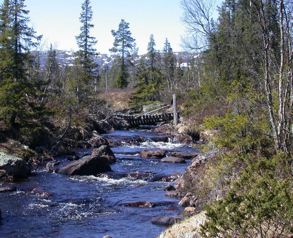 6 / 10 PLANDEL Skötsel och förvaltning av naturreservatets natur- och kulturvärden Naturreservatet är indelat i två skötselområden (A + B). Skötselområde A.
