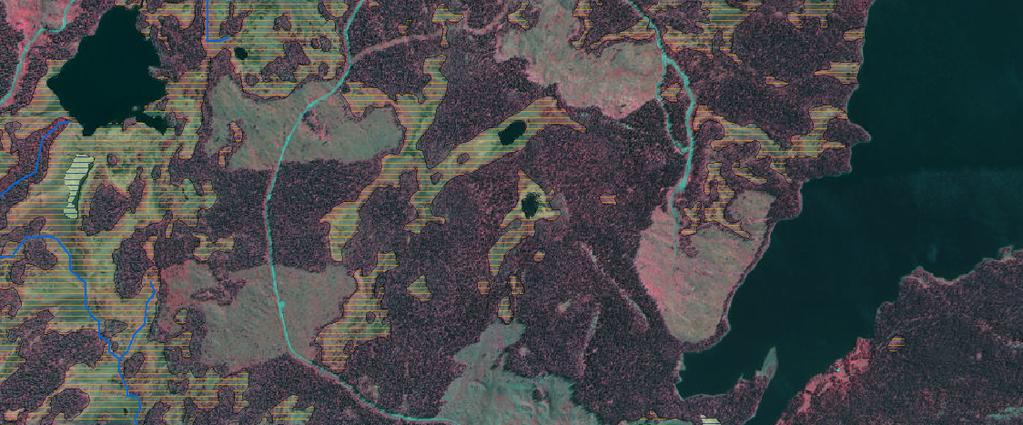 Dnr: 511-6494-12 Bilaga 3a Läskvattsåns naturreservat Skötselplankarta 486000 487000 488000 489000