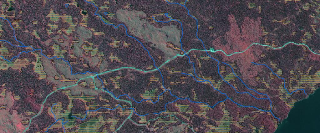 naturreservat 486000 487000 Teckenförklaring Naturreservatets gräns - Informationstavla Lantmäteriet