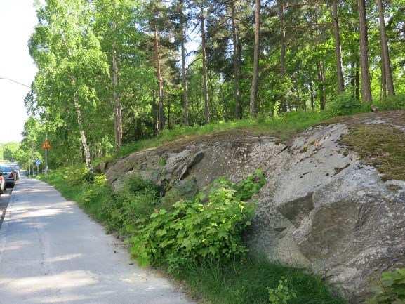 Förutsättningar Natur Natur, rekreation och ekologiska värden Området ligger i grönstråket utmed tunnelbanan och Lingvägen och utgörs till största del av äldre blandskog och öppna gräsytor.