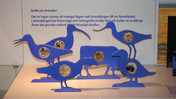 ADRESS: Vamlingo Prästgård, 623 31 Burgsvik TFN: 010-223 96 90 E-POST: info@naturumgotland.se WEBBPLATS: www.naturumgotland.se www.facebook.