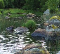 Den långa smala halvön Ulvöås är en del av åsen. Längre söderut går åsen i kanten av Toftåsa myr.