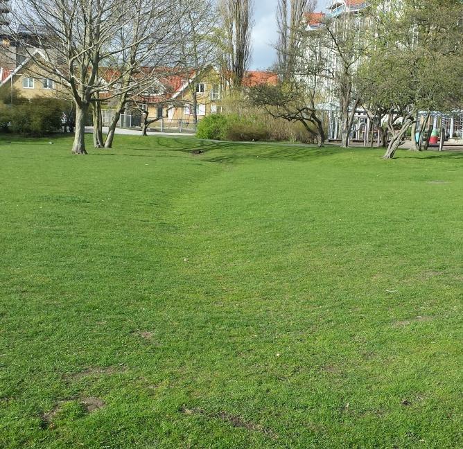 Figur 5-5. Exempelbild på skålformad avledningsyta som föreslås anläggas enligt Figur 5-4. 5.4 Slutsats Beräkningarna av de dimensionerande flödena visar att de planerade förändringarna inom planområdet kommer medföra ökade dagvattenflöden.