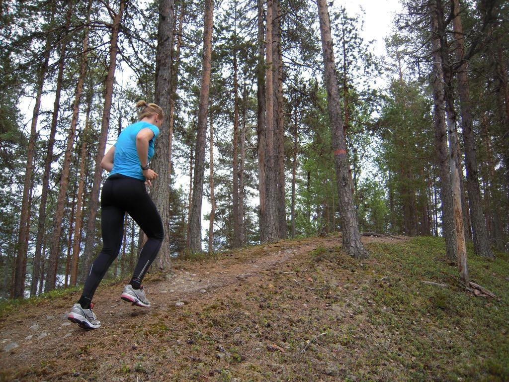 2007: LANDSLAGET OCH