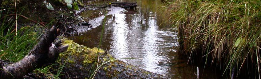 bildande av Tvärån Piktjärns naturreservat = = =======mçëí~çêéëë=