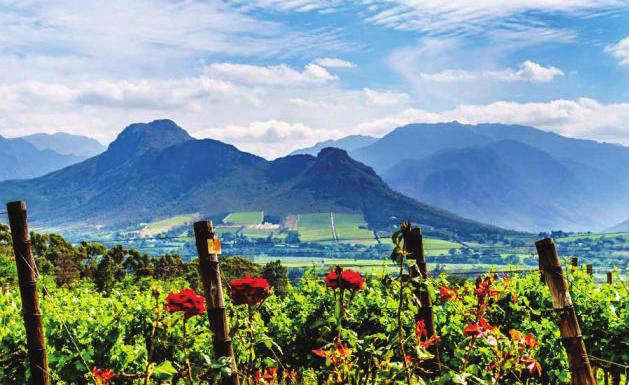 Dag 5 16 feb Babylonstoren - Franschhoek vindistrikt Idag besöker vi en av Sydafrikas äldsta vin- och bondgårdar pittoreska Babylonstoren, med anor från 1690 när Franska Hugenotter bosatte sig i