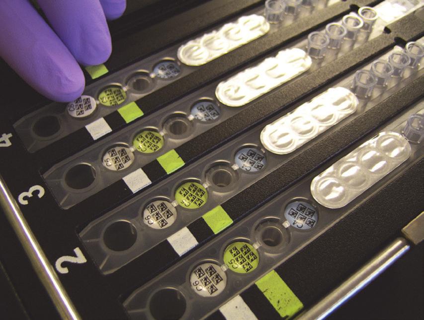Användning av BD MAX-systemet OBS! Se BD MAX-systemets användarhandbok 8 för detaljerade anvisningar (se avsnittet Användning ). OBS! Testning av BD MAX MDR-TB-kit måste utföras omedelbart efter överföring av ett STR-behandlat prov till provröret ovan (se Provberedning, steg 9).