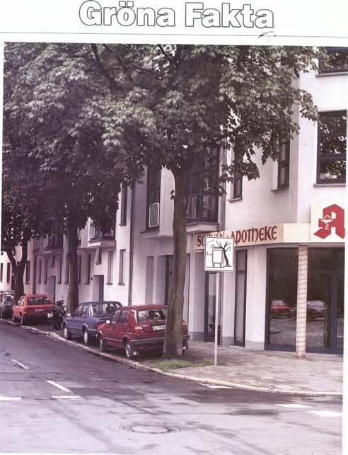 Trädgropar i gatumiljö Av Kaj
