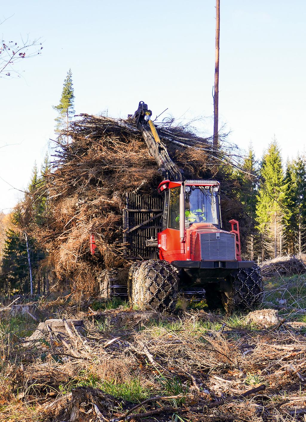 skogsbränsleuttag och