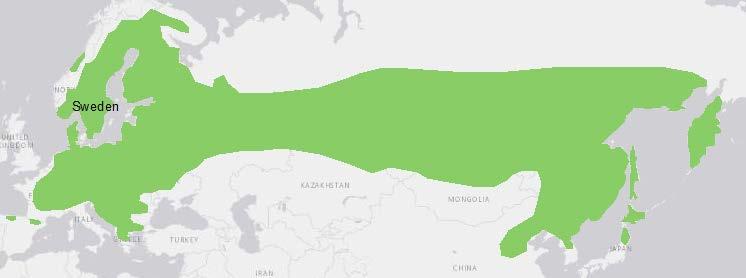 Figure 4. The natural range of scots pine.