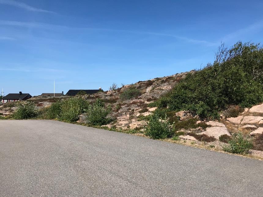 tidigare brytning av sten. Släntens flacka lutning samt avstånd till bebyggelse medför att inga block bedöms medföra risk för människors hälsa och säkerhet. Figur 4.3.