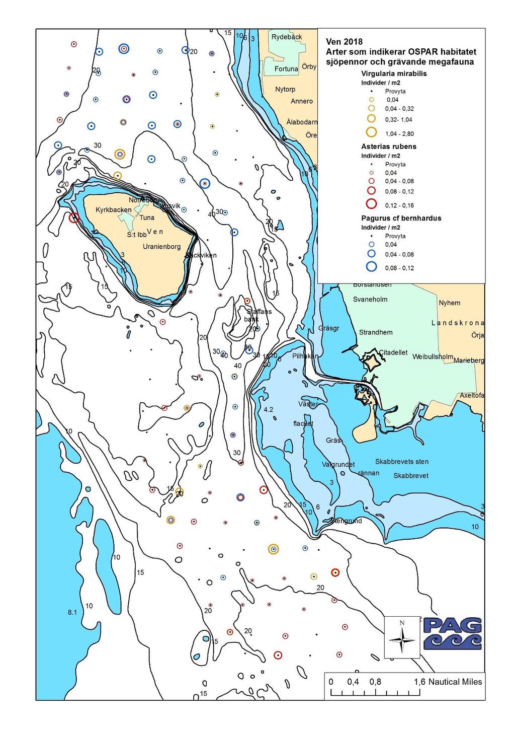 4.4.1 Sjöpennor och arter som indikerar OSPAR habitatet sjöpennor och grävande megafauna Figur 5