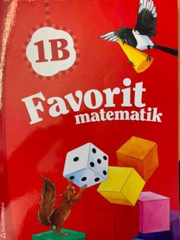Skatan Sally och ekorren Kurre återfinns som en röd tråd genom hela boken och hjälper eleverna att bygga upp en stabil matematisk grund. Det är enligt författarna då matematiken blir en favorit.