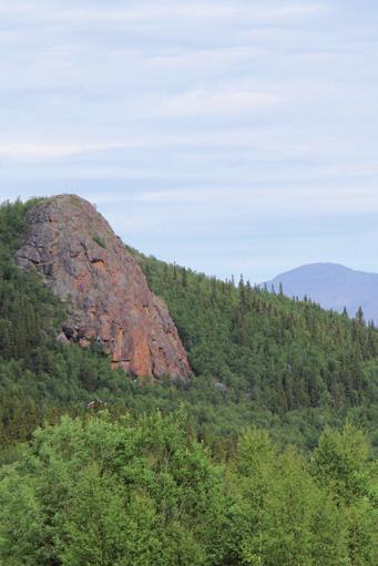 Kvalitetsdistribuerad av Posten Postens Gruppförsändelse Årgång 60 2019-07-03 Nr 27 SEMESTERTIDER! Veckorna går och det börjar skymta en semester i fjärran.